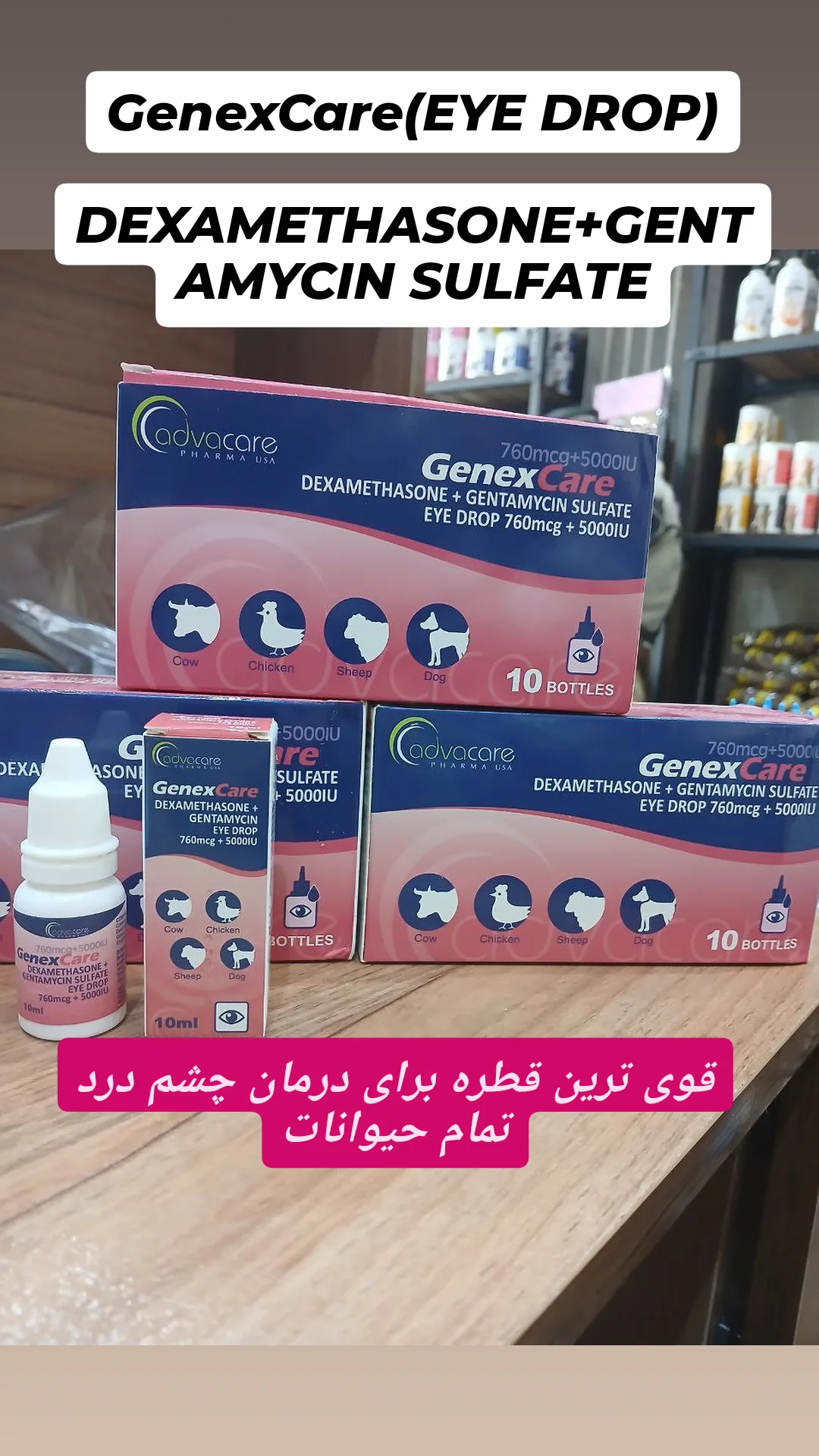 بهترین داروخانه دامپزشکی در تهران